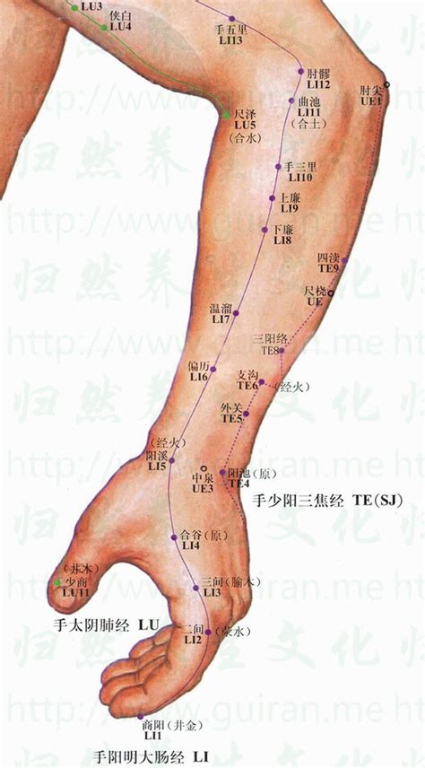 關位源|關元穴位置 